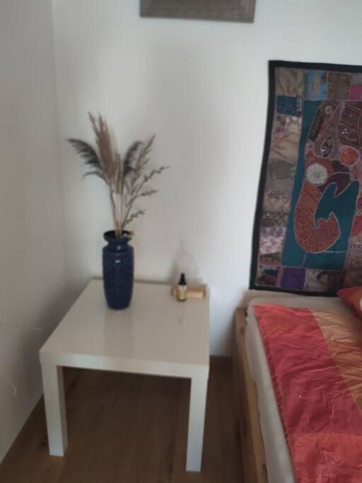 Herrliche Ferienwohnung - 10 Gehminuten Zum Strandbad Apartment Friedrichshafen