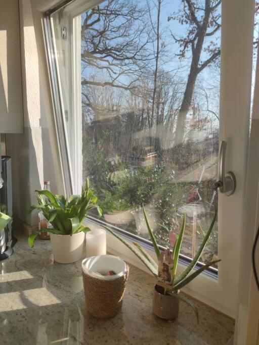 Apartment Herrliche Ferienwohnung - 10 Gehminuten Zum Strandbad *